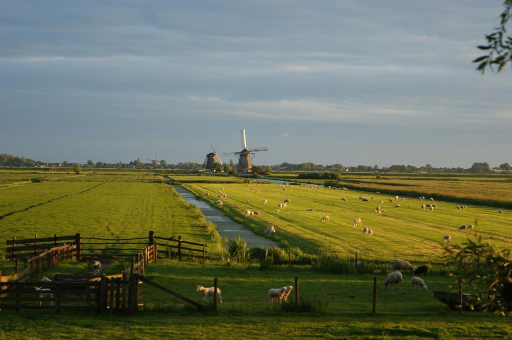 Hoeve Suydeinde Aarlanderveen Exterior photo